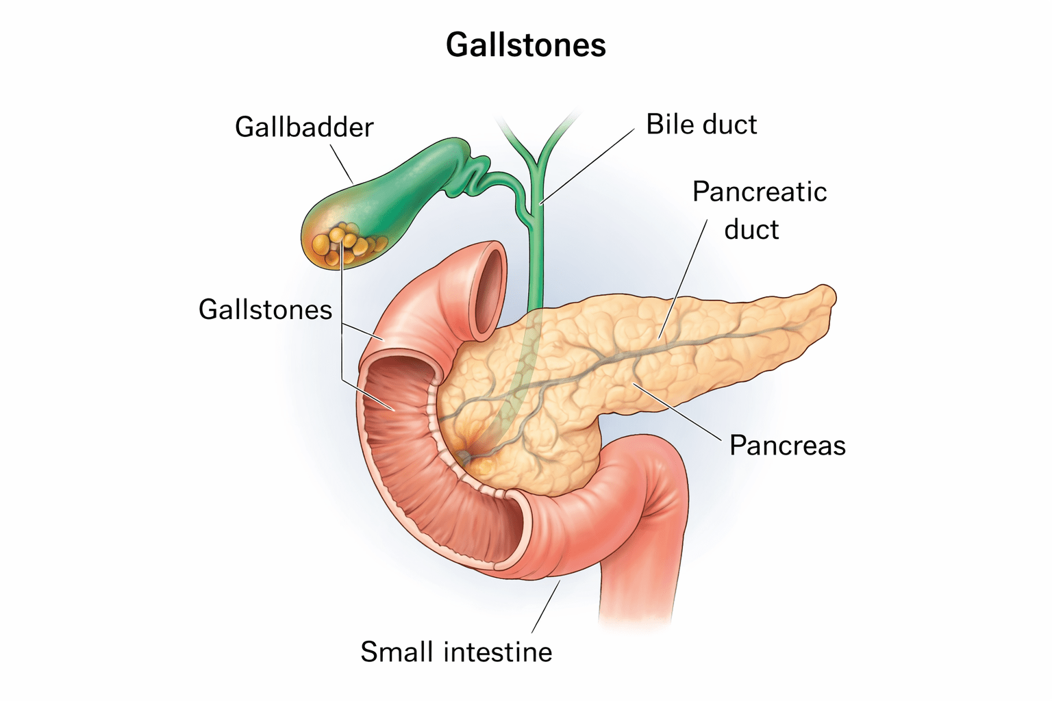 Best Gallbladder Surgeon in Panipat